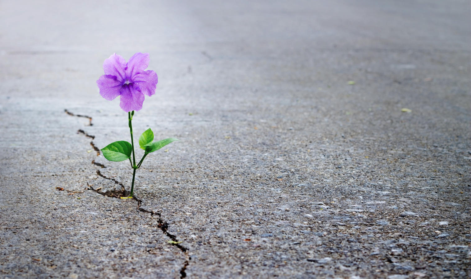A road less traveled: how making less huntingtin can alter somatic instability and may delay symptoms