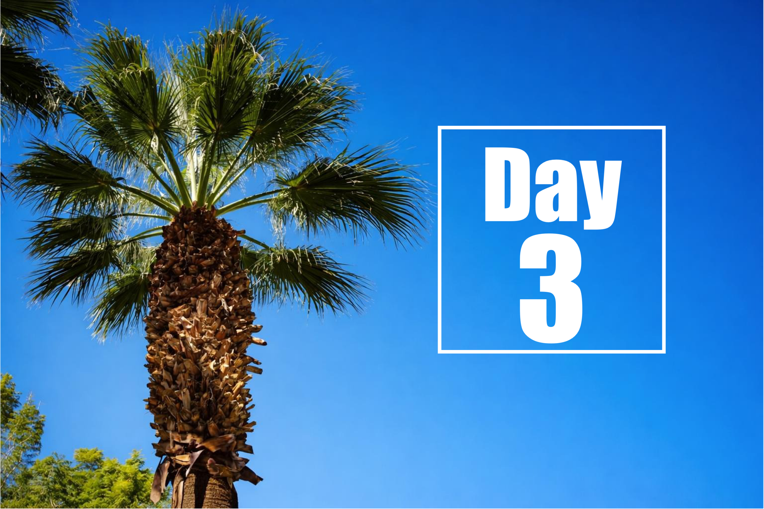 Huntington’s Disease Therapeutics Conference 2026 – Day 3